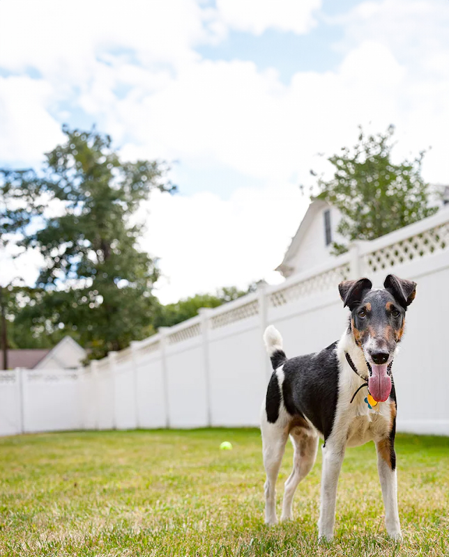 AnyFence - 508-429-4000